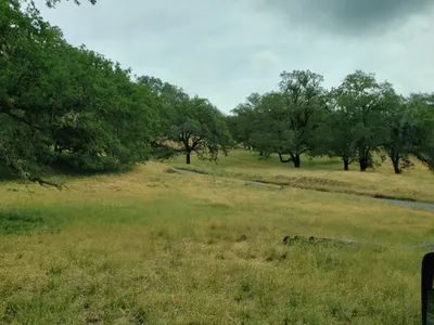 20190520_104733 (Large).jpg